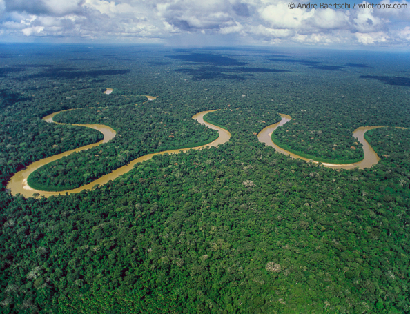 © Andre Baertschi / wildtropix.com