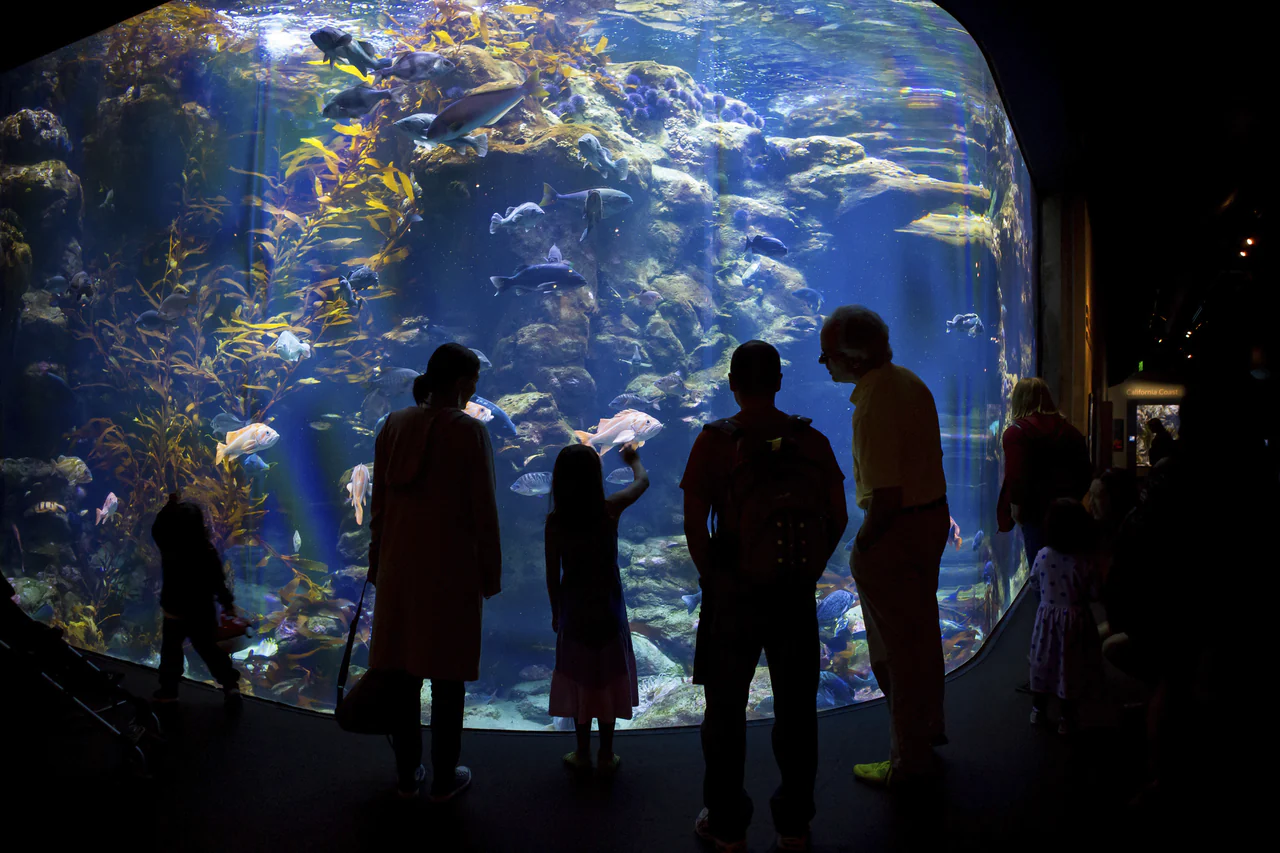 Credit: Kathryn Whitney, California Academy of Sciences