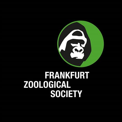 Our Program