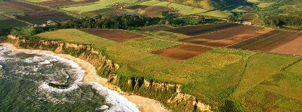 Peninsula Open Space Trust aims to preserve farmland in San Mateo County