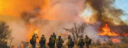 Workshop report: Fire Immediate Response System