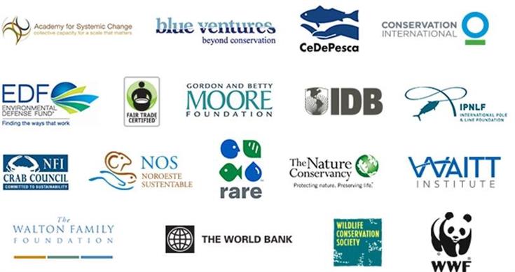 50 in 10 partners graphic