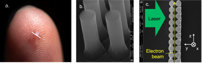 ACHIP Figure1 Figure 1