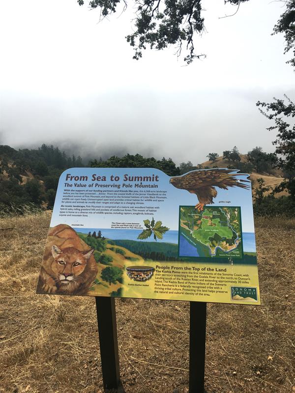 BayArea_Jenner_hike_seatosummit Jenner Headlands, a hike from sea to summit