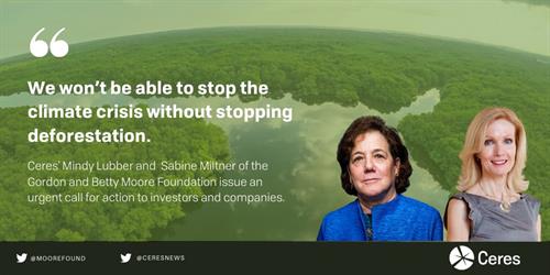 ceres report sept 2020 image card