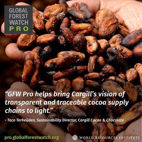 GLobal Forest Watch 5