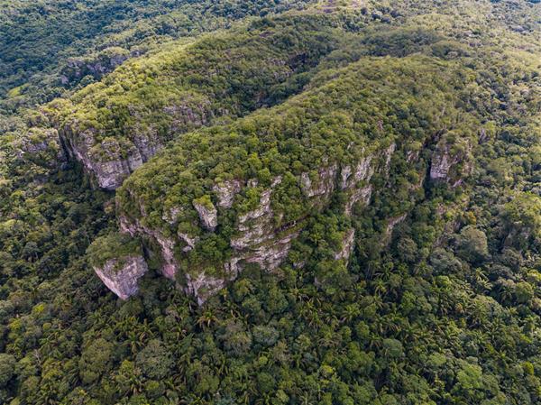 Medium_WW2134921 Overhead view of Colombia's beautiful lush green forests.