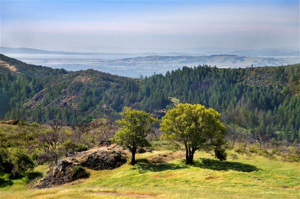Fitzsmimons Ranch View of the grasslands and forested hills on Fitzsimmons with the San Francisco Bay, Oakland, and San Francisco beyond. Credit: Sonoma Land Trust