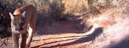 OpenRoad features Sonoma Land Trust 