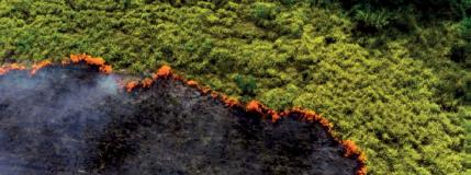 Nature Risk Rising