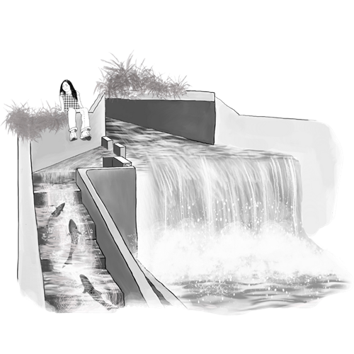 pathways-to-success-water-system