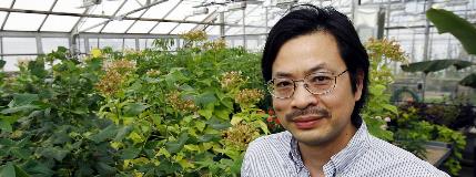 Unveiling plants' gates and signaling secrets