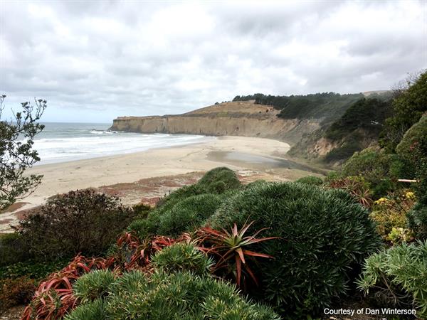 tunitas-creek-dan winterson tunitas-creek-dan winterson