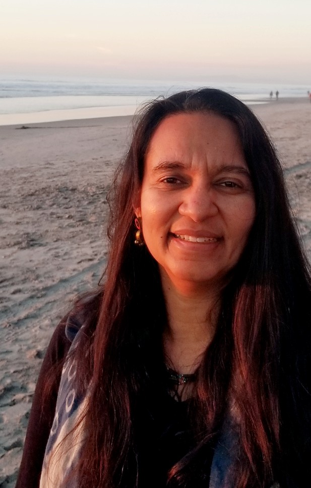 Smitha Vishveshwara. Image courtesy of Madhusudan Parthasarathy.