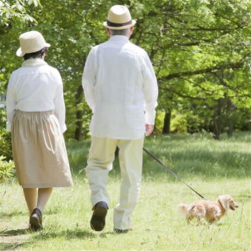 Serious Illness Care