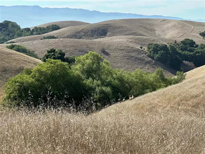 Richmond Ranch_image_Gordon and Betty Moore Foundation The large Richmond Ranch property near San Jose was recently purchased by the Conservation Fund.