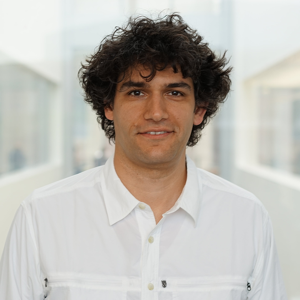 Vlad Pribiag, Ph.D.