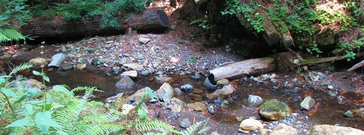 Grant to help discover restoration opportunities for California’s Russian River