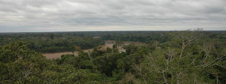 Sustaining gains in the Andes-Amazon region 