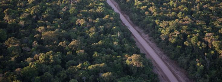 IPAM Amazonia wins Google Social Impact Challenge 