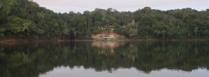 Origins Brasil aims to increase transparency in forest products chain