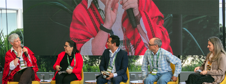 The Future of Amazonia