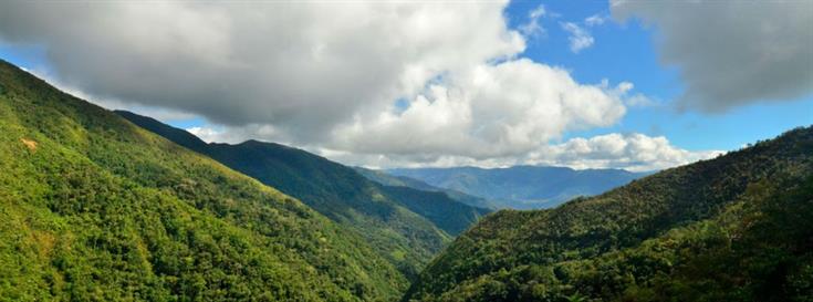 Amazon lands vital to Earth's ecosystems require conservation through collaboration