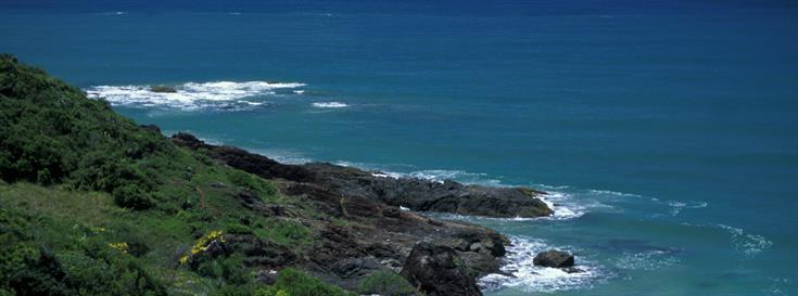Scientists in Brazil find new reefs rich with marine life