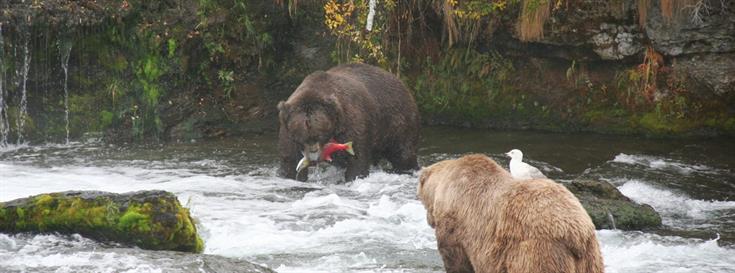 Protecting Bristol Bay: A victory 20 years in the making