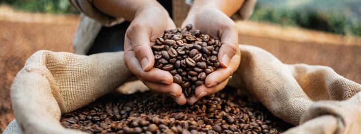 Reducing greenhouse gas emissions through food production