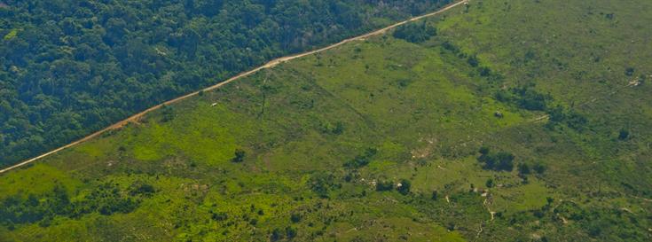 New partnership and online tool will increase transparency and traceability and help meet zero-deforestation commitments