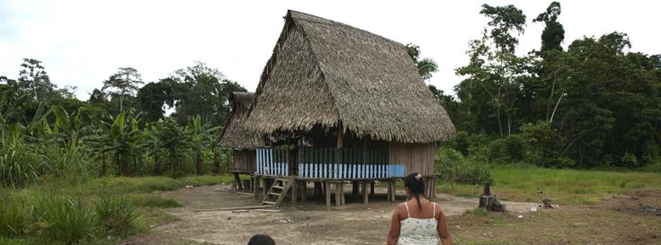 Safeguarding indigenous rights and lands in Madre de Dios 