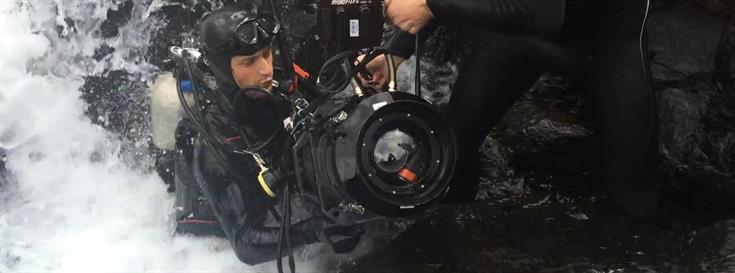 A salmon migration returned to the heart of Vancouver