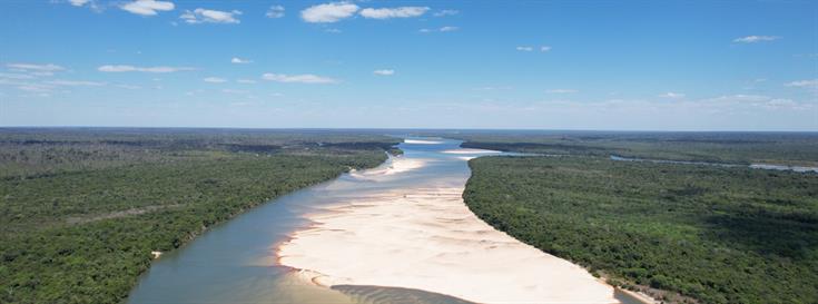 Messengers of the forest: Elevating Indigenous voices