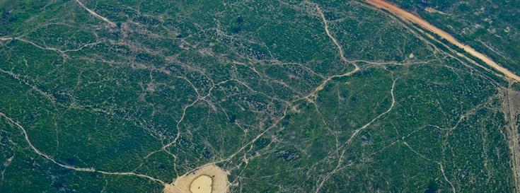Deforestation rates and concern on the rise in Brazil
