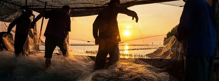 Human and Labor Rights Reporting for Fishery Improvement Projects Under New Fishery Progress Policy