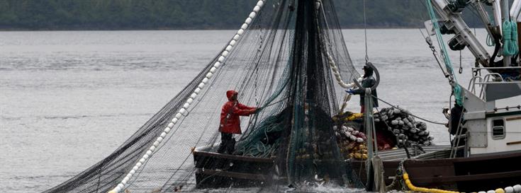 Human rights, healthy oceans