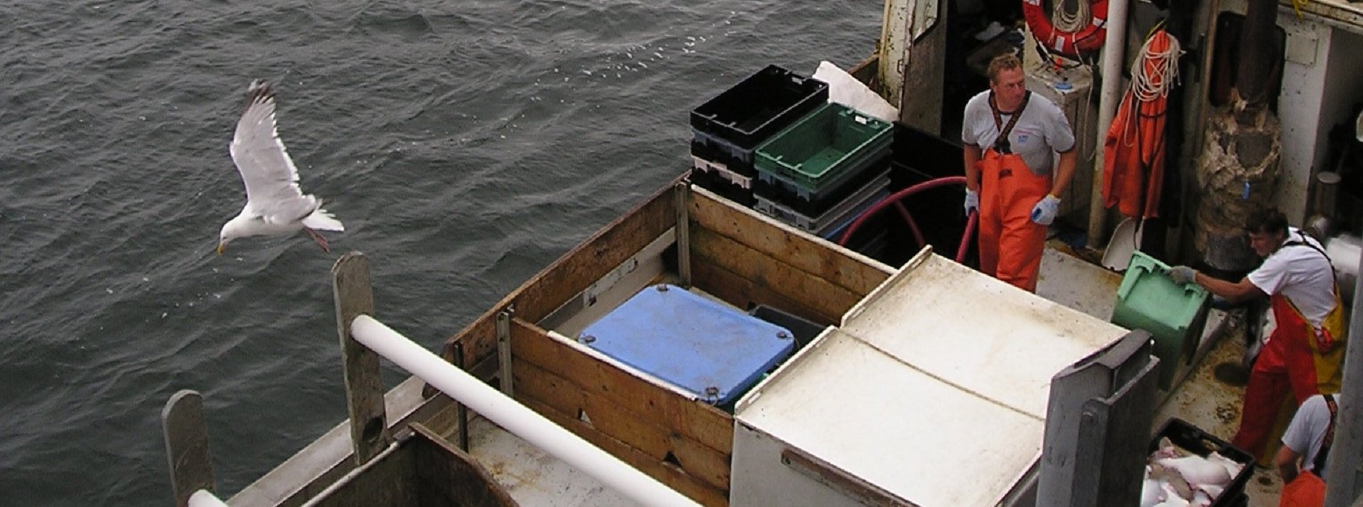 Landmark study shows clear pathway to restoring imperiled fish populations