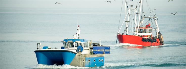 Leading seafood organizations come together to meet challenges in seafood sustainability
