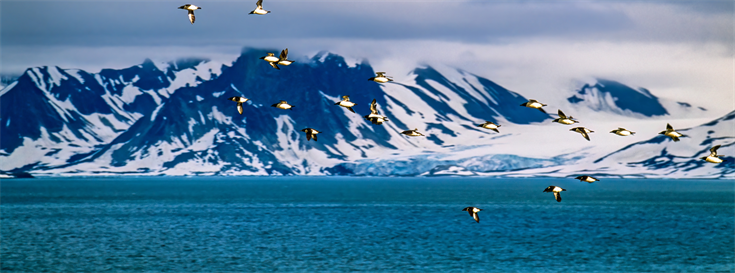 Perspective: What does it take to support conservation in a place changing as fast as the Arctic? 