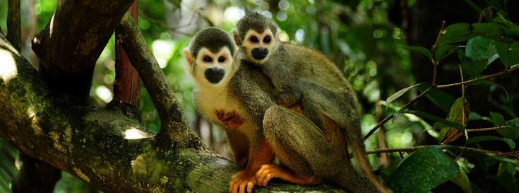 New agreement to secure funding and increase capacity for Colombia’s national parks