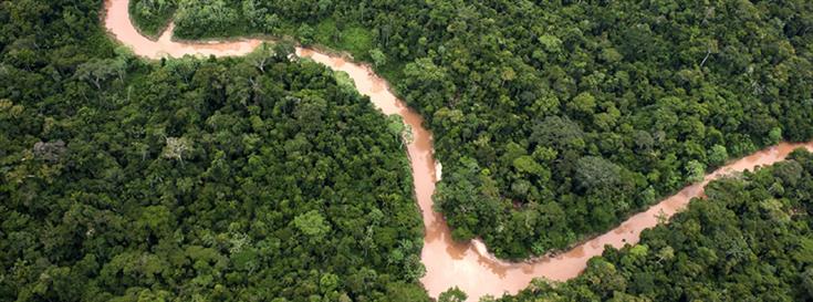 Peru creates "Yellowstone of the Amazon"