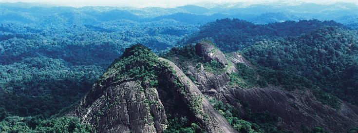 World Wildlife Fund plans to secure permanent future for protected areas