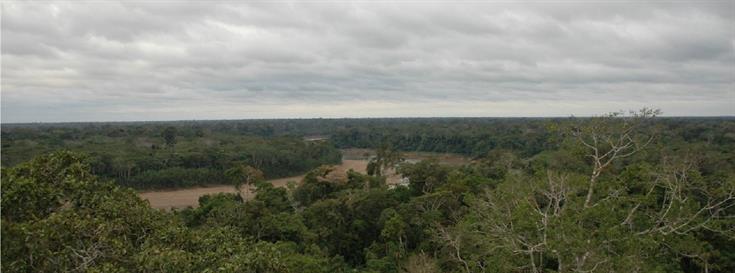 New study details patterns of land use and other trends in Brazilian agriculture
