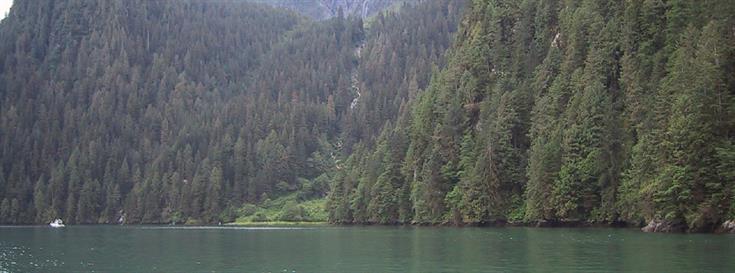 Final agreement reached for B.C.'s Great Bear Rainforest
