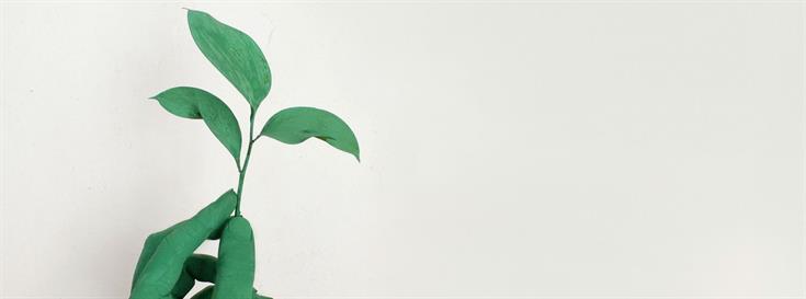 Sharpening the focus on risks and opportunities for businesses 