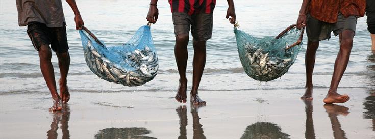 Tackling overfishing on many fronts