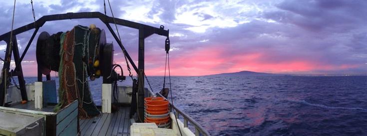 For the long haul: Pacific groundfish fishery on the rise 