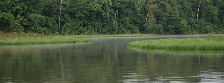 Partnering for sustainable protected areas in the Andes-Amazon region