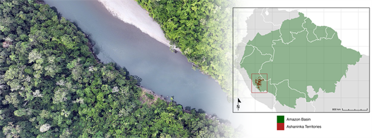 Perspective: A positive tipping point for nature is possible through cooperation and solidarity 